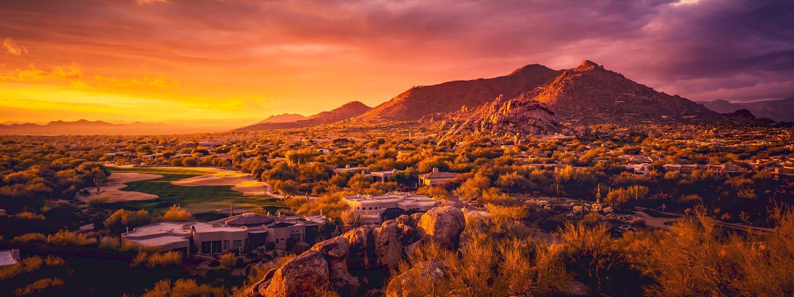 Sari Hands PLC banner